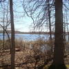 Late April viewing between the trees at Crooked Lake at a pair of Canada Geese.