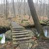 Scenic wide stream crossing