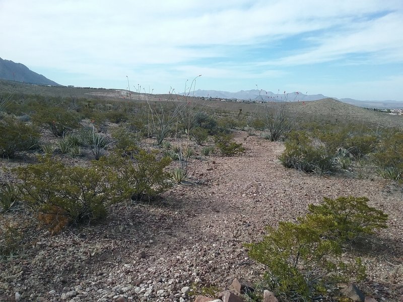 Looking west from the trail