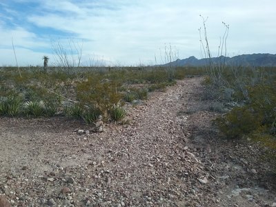 Beginning of trail