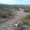 Looking south on the trail