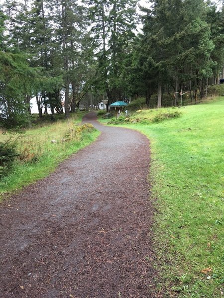 The trail down to the lighthouse.