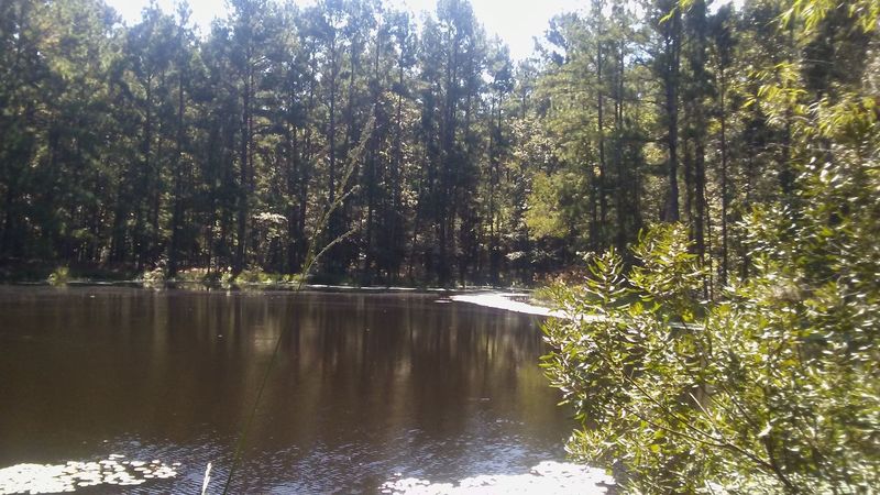 One of the ponds along the hike.