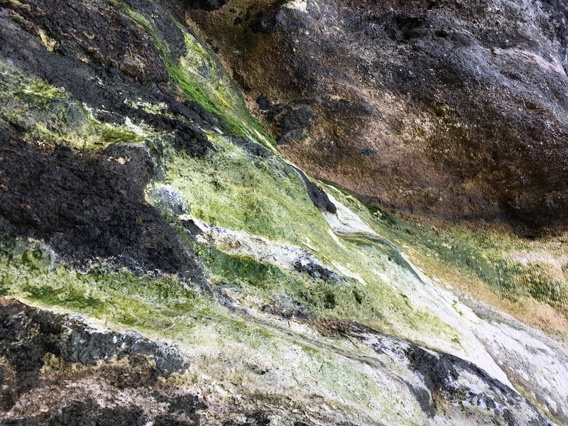 The limestone leaking down the rocks.