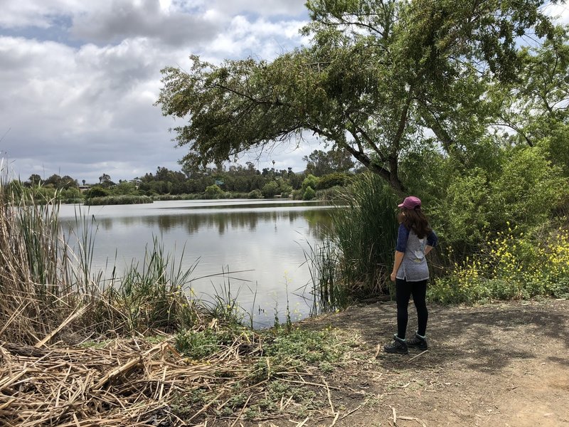 Looking out over the lake from the beginning of the Nature Trail.