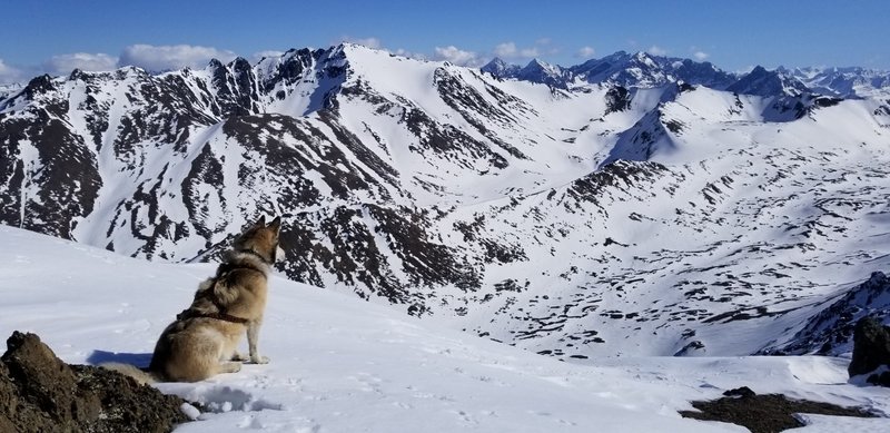 Knoya summit view looking east northeast toward Temptation Peak (and a malamute)