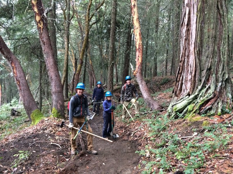 AWTA trail workers finishing up work and posing next to large cedar.