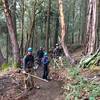 AWTA trail workers finishing up work and posing next to large cedar.