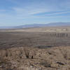 Braided washes of Rattlesnake Canyon