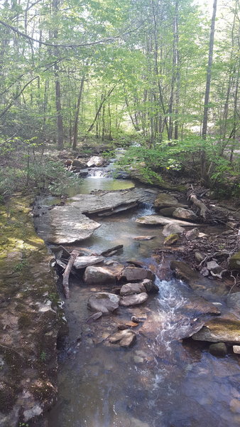 Cave Branch Crossing