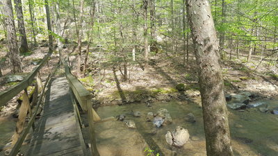 Bridge over Lick Creek