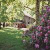 Glade Creek Grist Mill and Rhododendrons