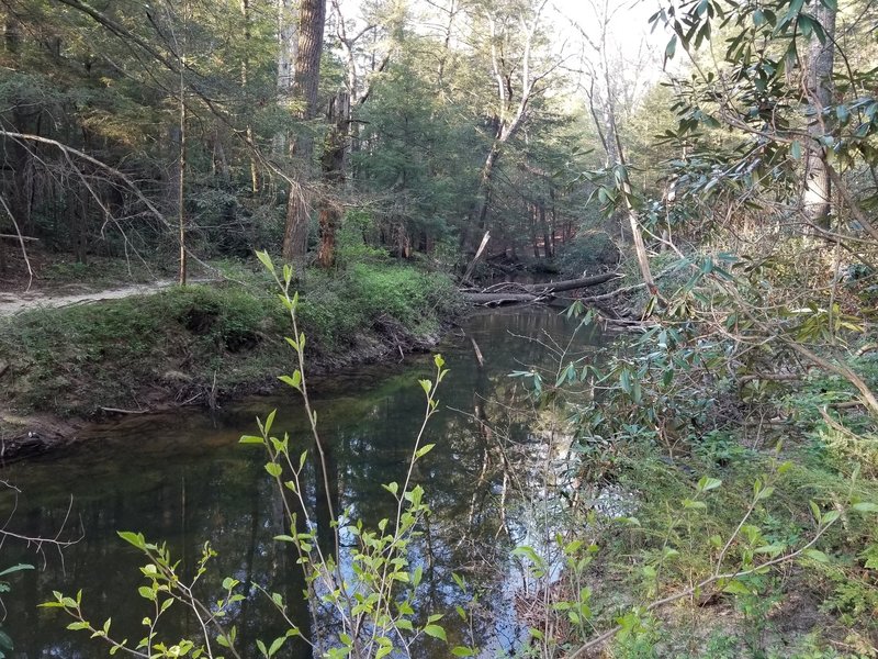 View of Byrd Creek and returning trail on the other bank.