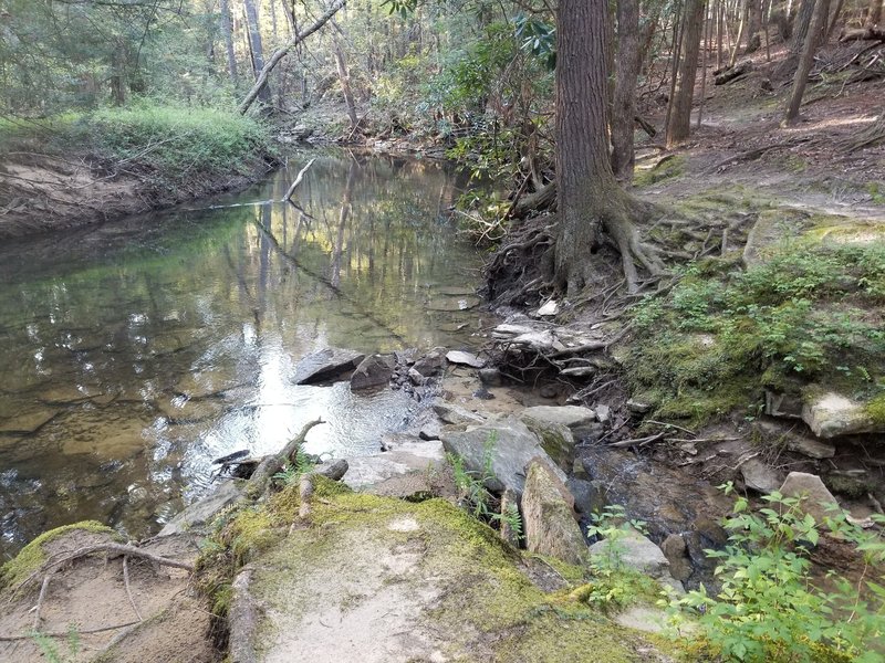 Byrd Creek and the trail on the right