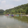 Paddle Boats at Lake Needwood.