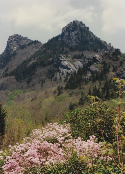 The Mountain in the spring