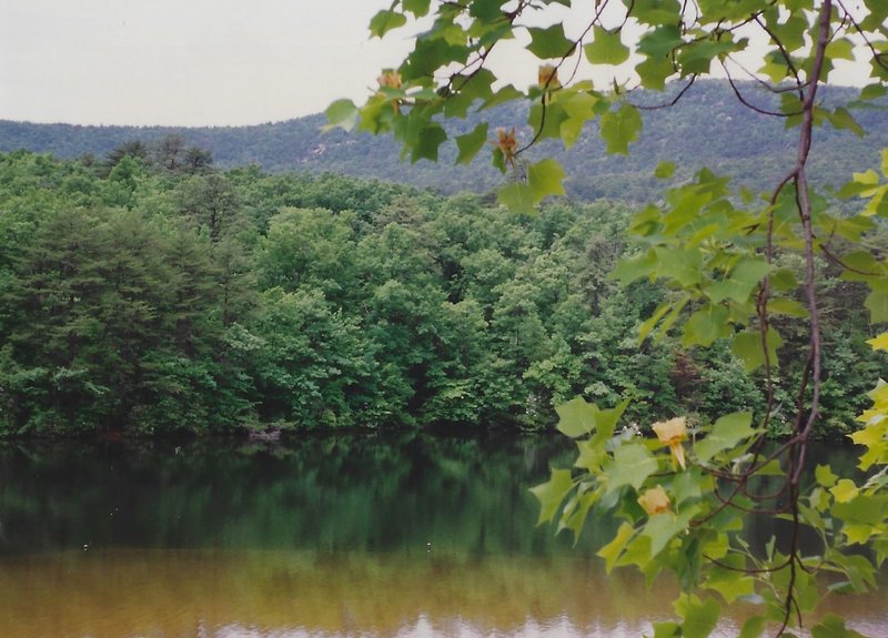 View of the lake