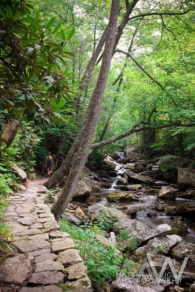 The trail follows the creek up to the falls