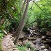 The trail follows the creek up to the falls