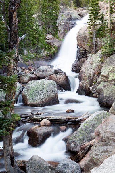 Alberta Falls