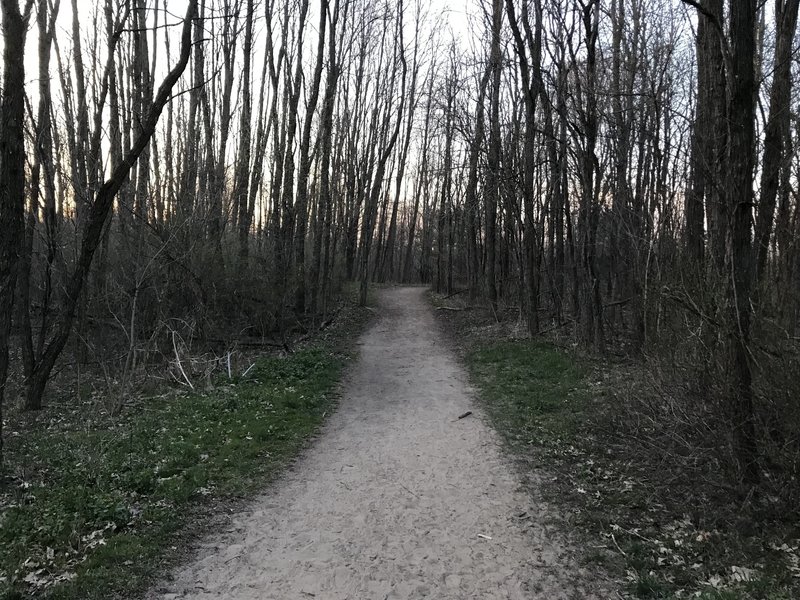 Hickory Ridge Hike & Ski Trail - Island Lake State Park