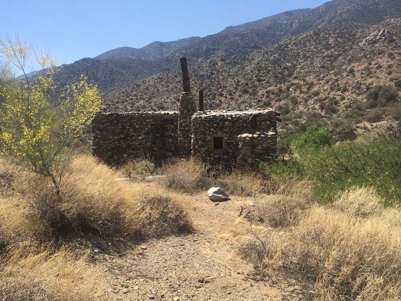 Rear view of the cabin.