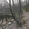 Trail next to the pond