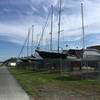 Sailboats alongside the trail.