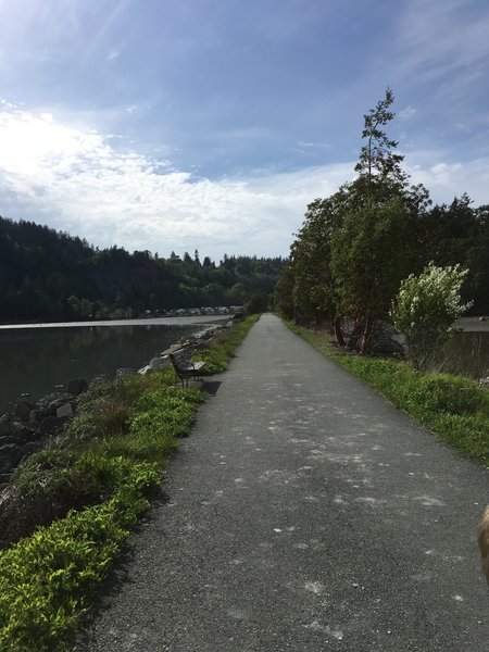 Looking back towards Anacortes.