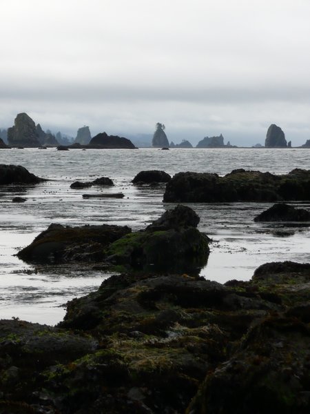 Sea Stacks