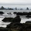 Sea Stacks