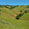 The grass hills in early May, that Savannah Trail meanders through. Many of the valleys are cut by seasonal streams over the years.