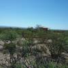 View of the Bowen Ranch