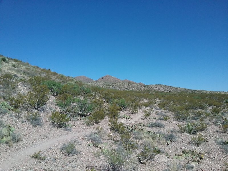 Looking north on the trail.