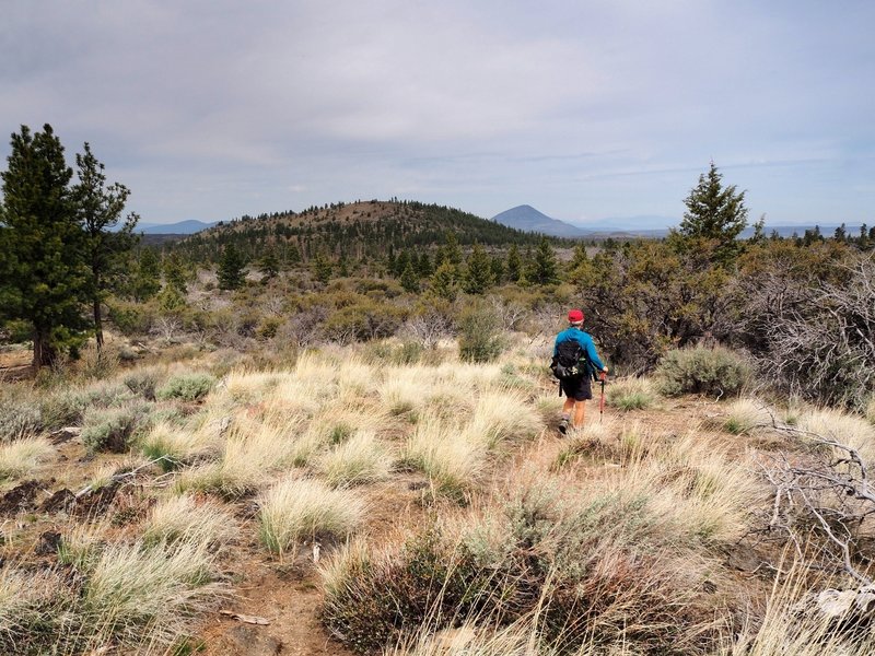 Eagle Nest Butte and Mount Dome from the trail