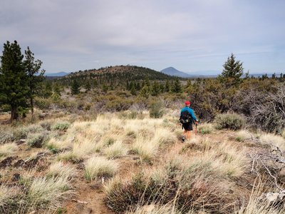 Eagle Nest Butte and Mount Dome from the trail
