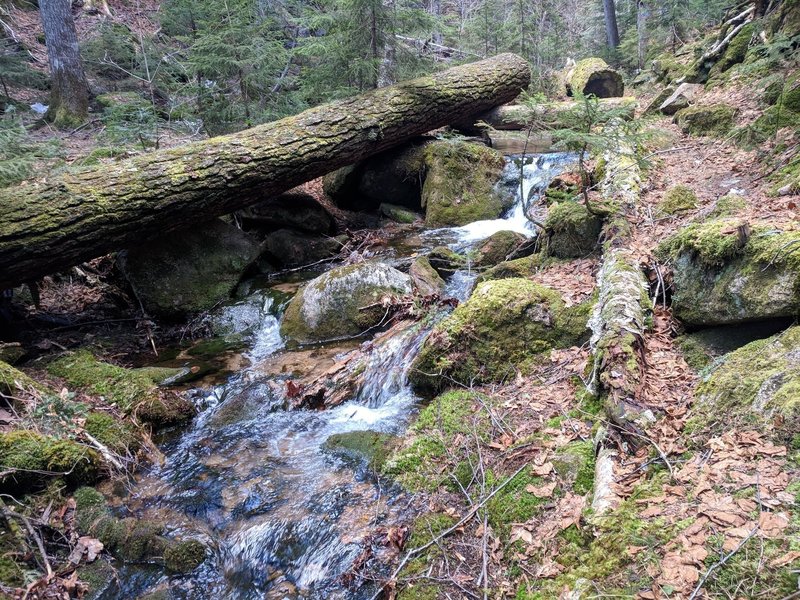 Kelly Brook is flowing nicely. Trail is mostly clear of snow, easily passable on foot. No major blowdowns.