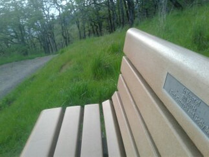 Bench with specially placed rock for excellent photo opps