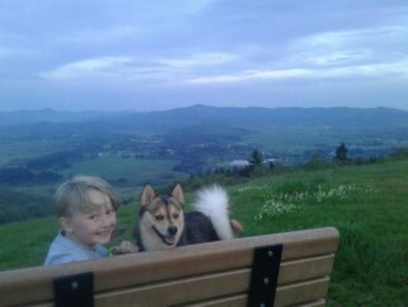 At the top. Kiddo and pup friendly.