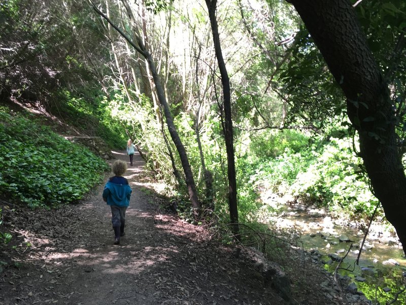 Walking along Sausal Creek on the Dimond Canyon Trail