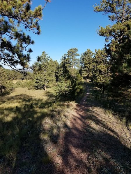 Near the trailhead, heading towards Florissant Fossil Beds