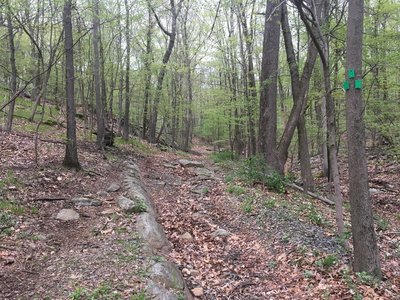 Trailhead off Van Drive