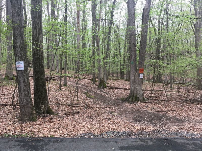 Trailhead off Decker Lane