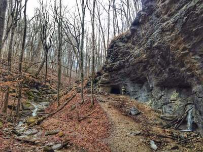 Path down to Smokey Bridge