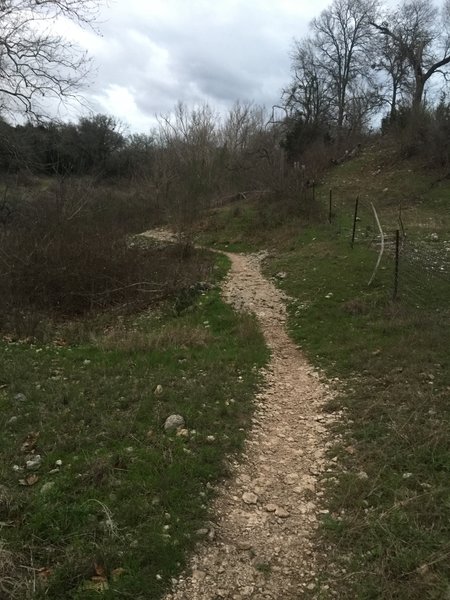 Between Cedar Hollow and Sawyer campsites.