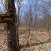 Start of Lenape Ridge Trail