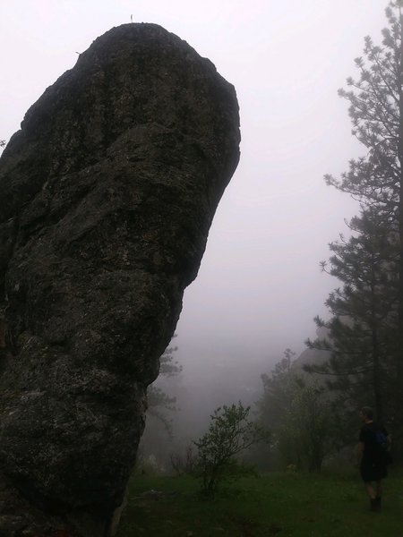A misty day in spring. Nicole took this awesome picture of one of the shorter climbing rocks.