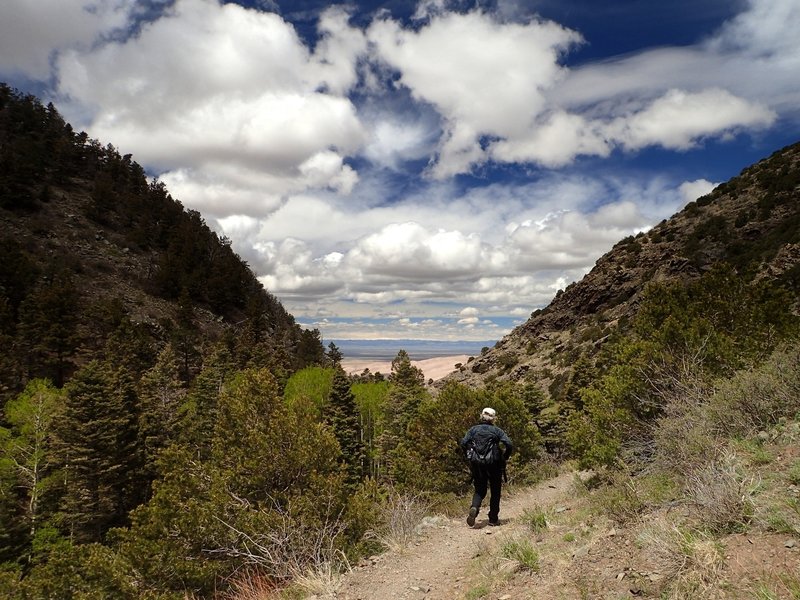 Great Sand Dunes from the Mosca Pass Trail