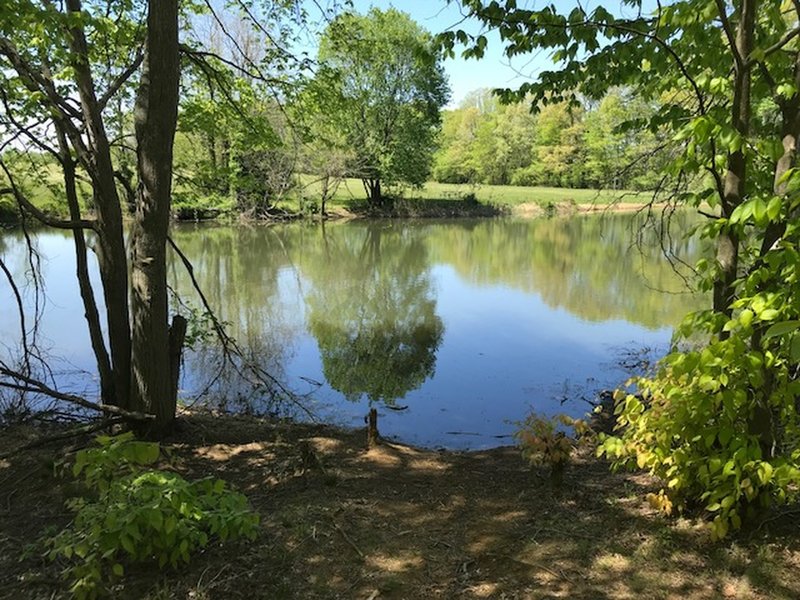 The small lake