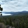 Around 2.5 mile mark, you can get a great view of Lake Tahoe if you walk off the trail a bit